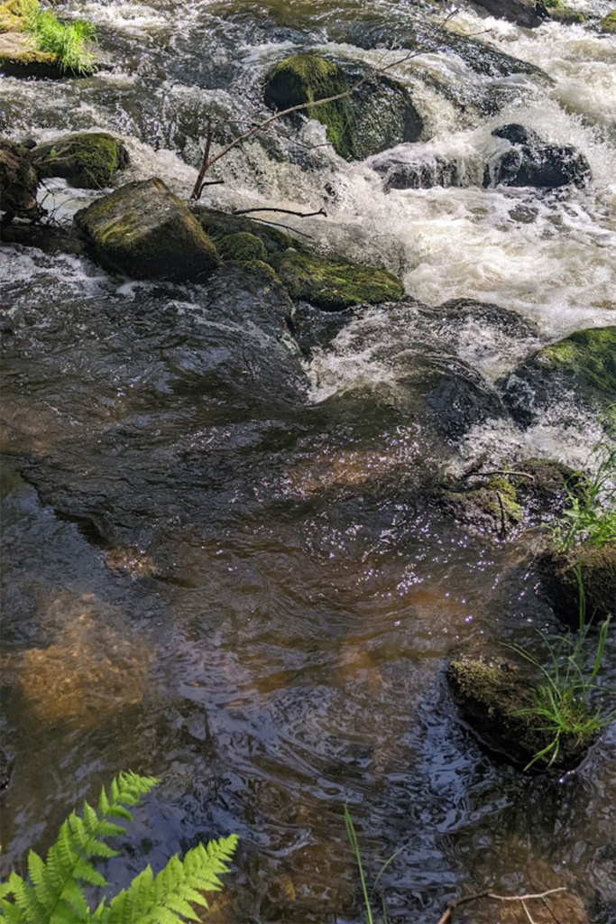 Stromschnellen am "Alten Egerbad"