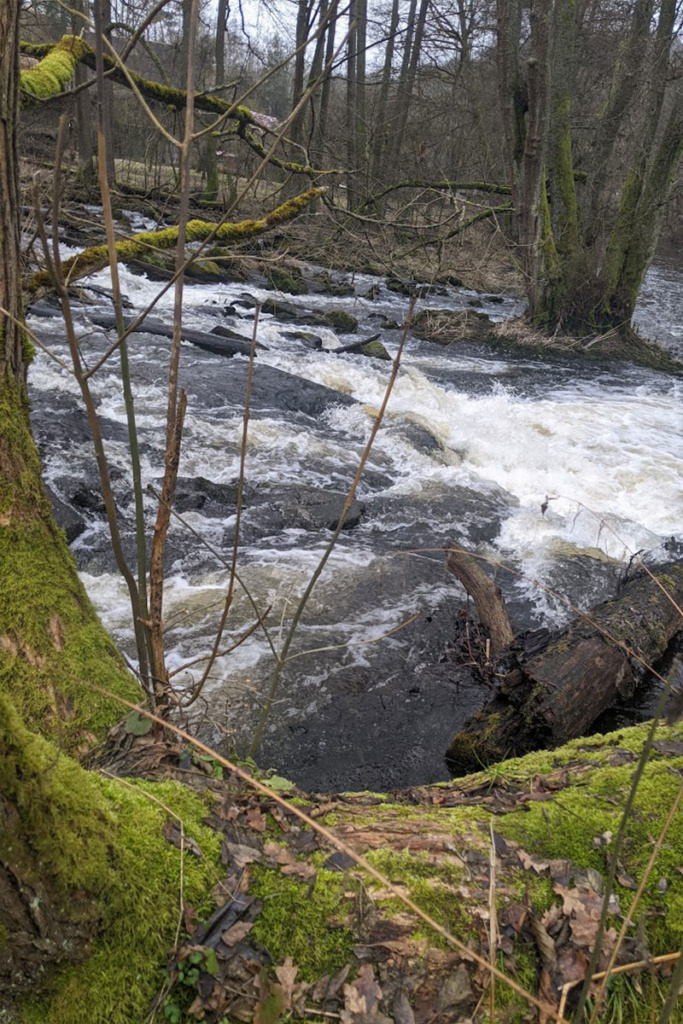 Stromschnellen am Alten Egerbad