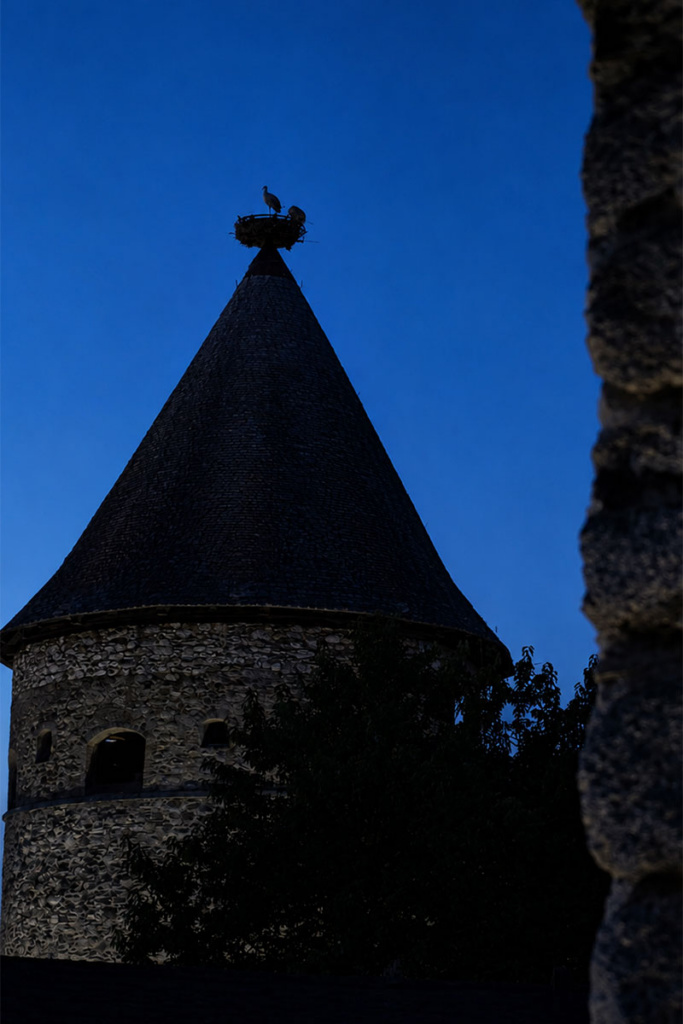nächtliche Silhouette des Storchenturms mit Storch