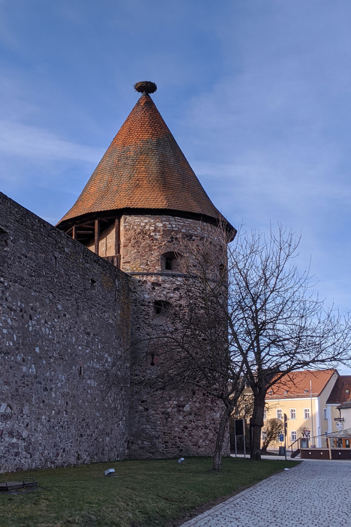 Der Storchenturm im zeitigen Frühjahr