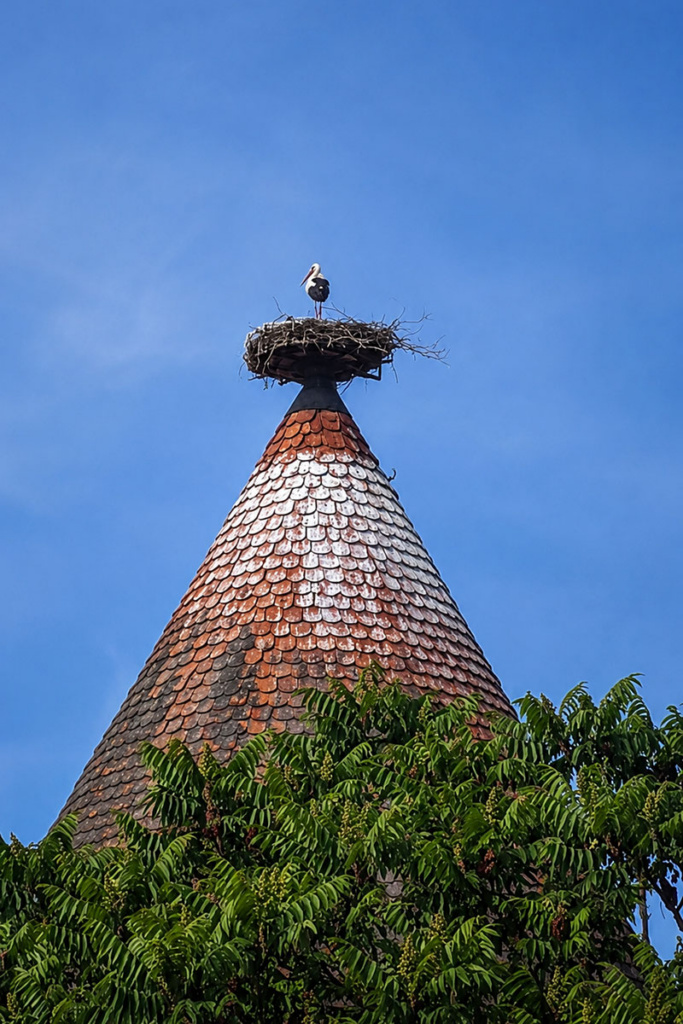 Der Storch steht im Nest auf dem Storchenturm.